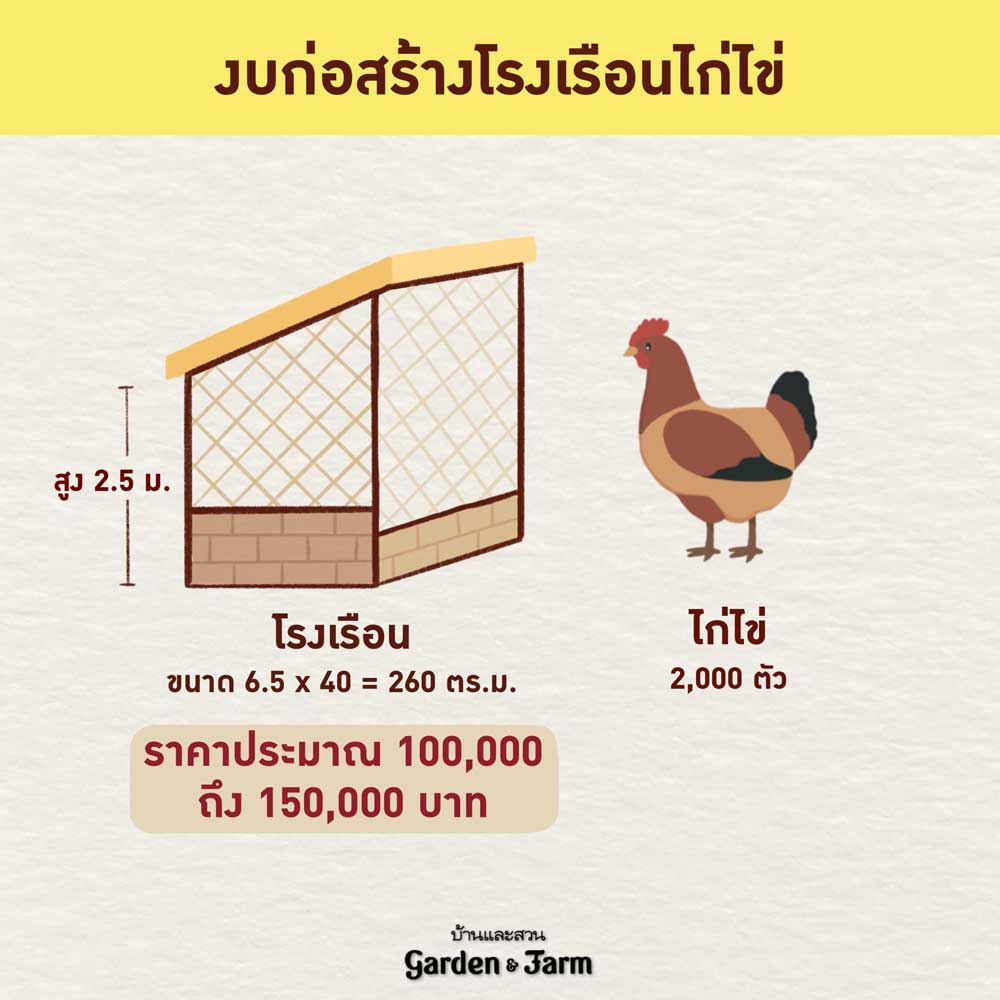 ทำฟาร์มเลี้ยงไก่ไข่