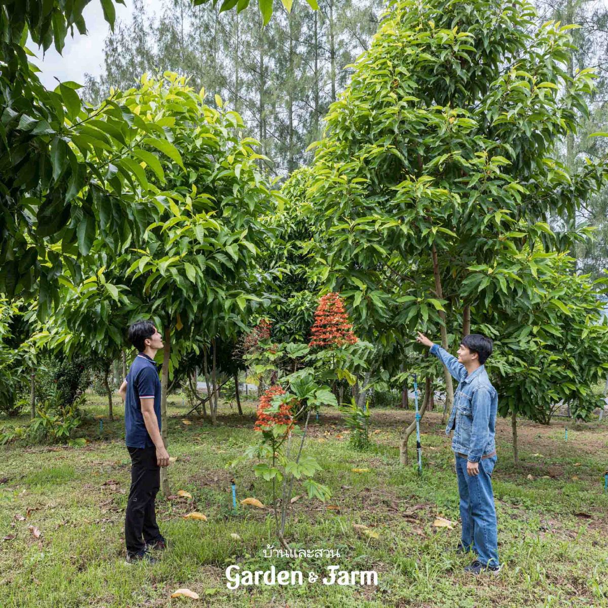 ศูนย์เรียนรู้เกษตรนวัต