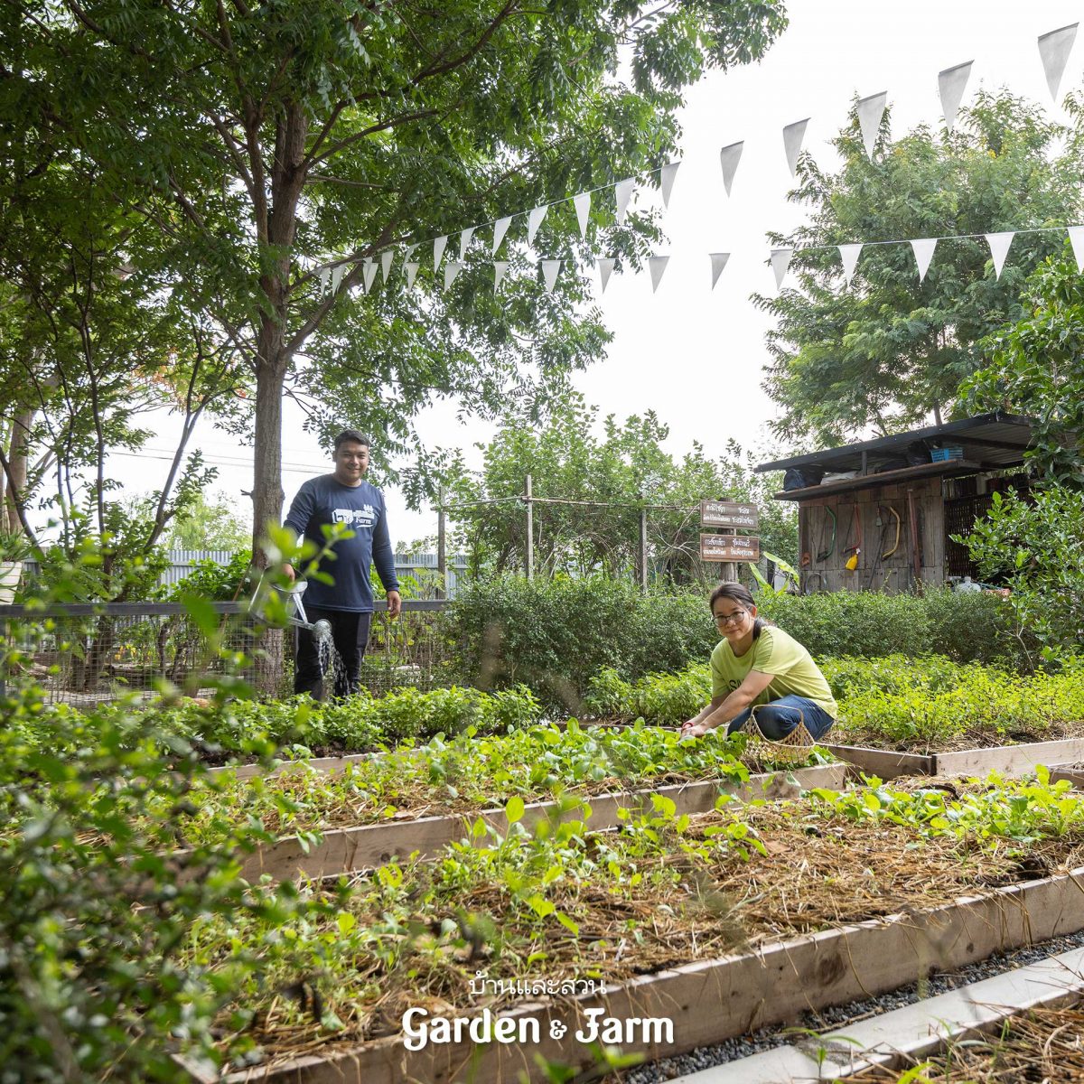 ฟาร์มคาเฟ่ เกษตรทฤษฎีใหม่